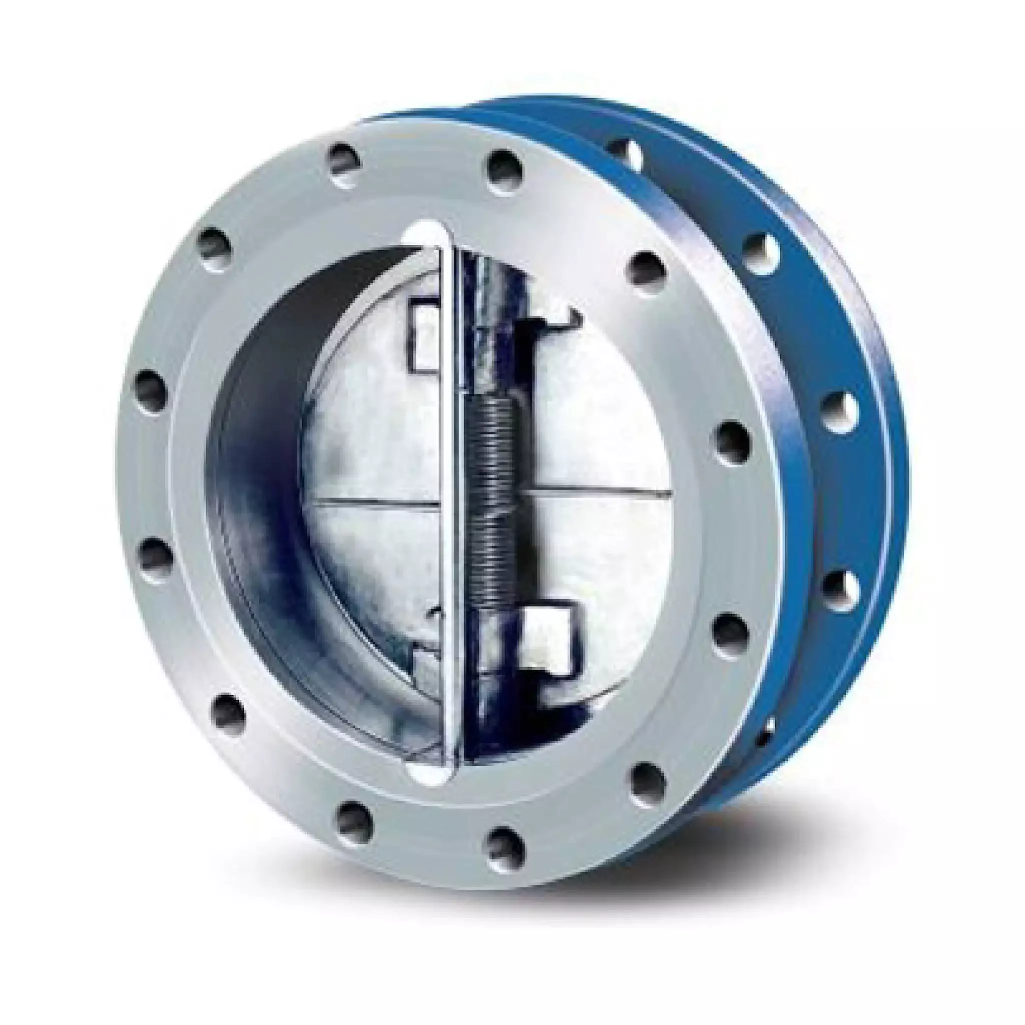 Dual plate check valve